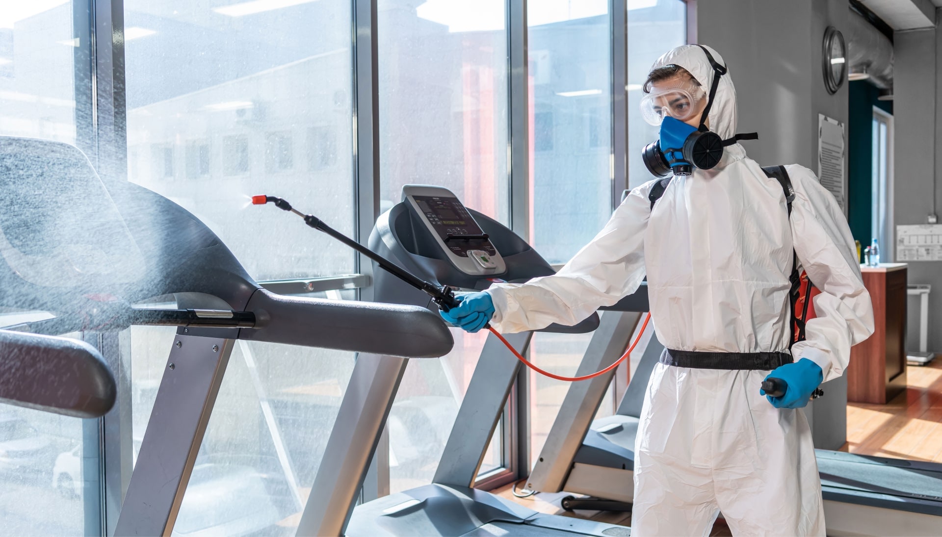 Commercial Mold Removal Services in Wellington
