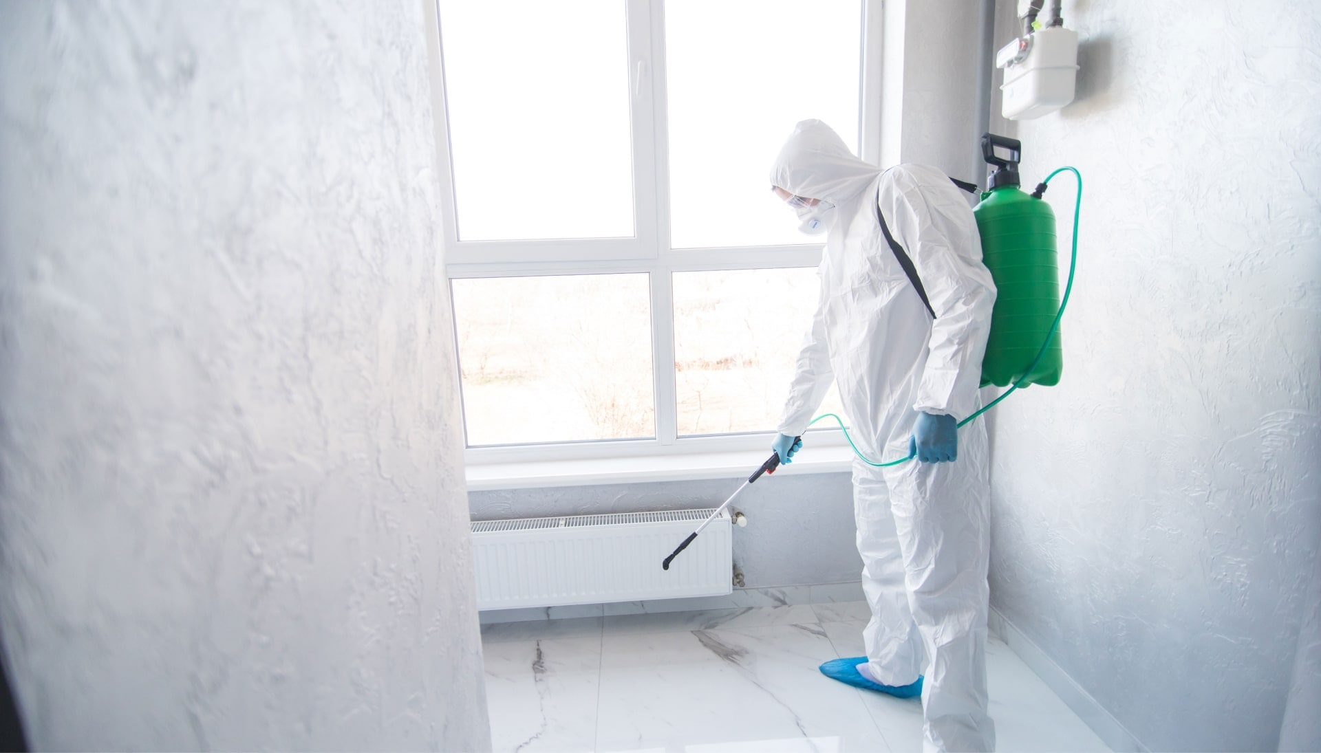 A certified mold inspector using specialized equipment to identify and locate mold growth in a residential property in Wellington